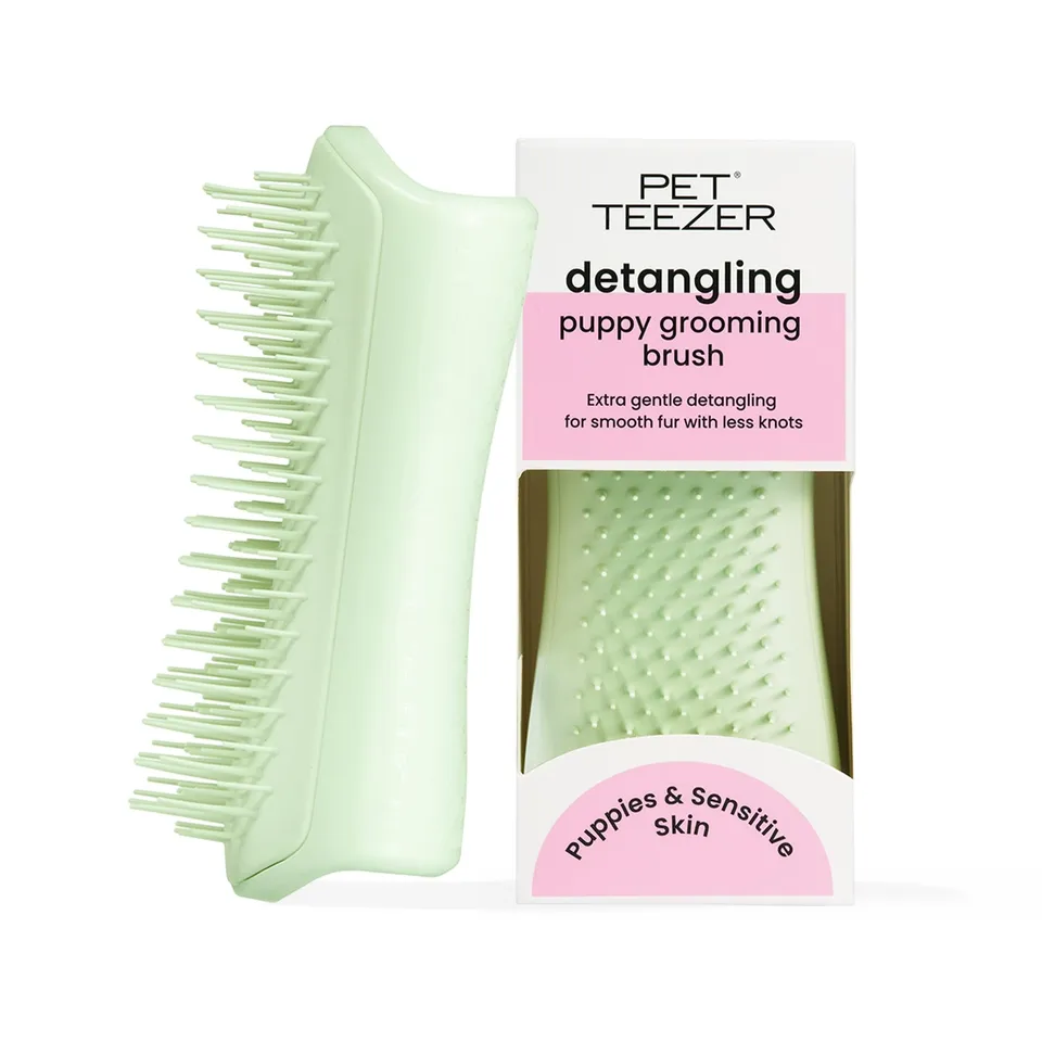 tangle-teezer-pet-teezer-puppy-brosse-de-toilettage-douce-pour-chiot-picots-deux image 1
