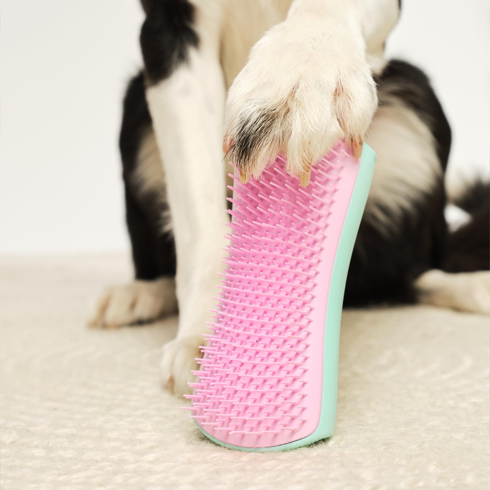 tangle-teezer-pet-teezer-menthe-et-rose-brosse-de-toilettage-chien-double-pelage image 7