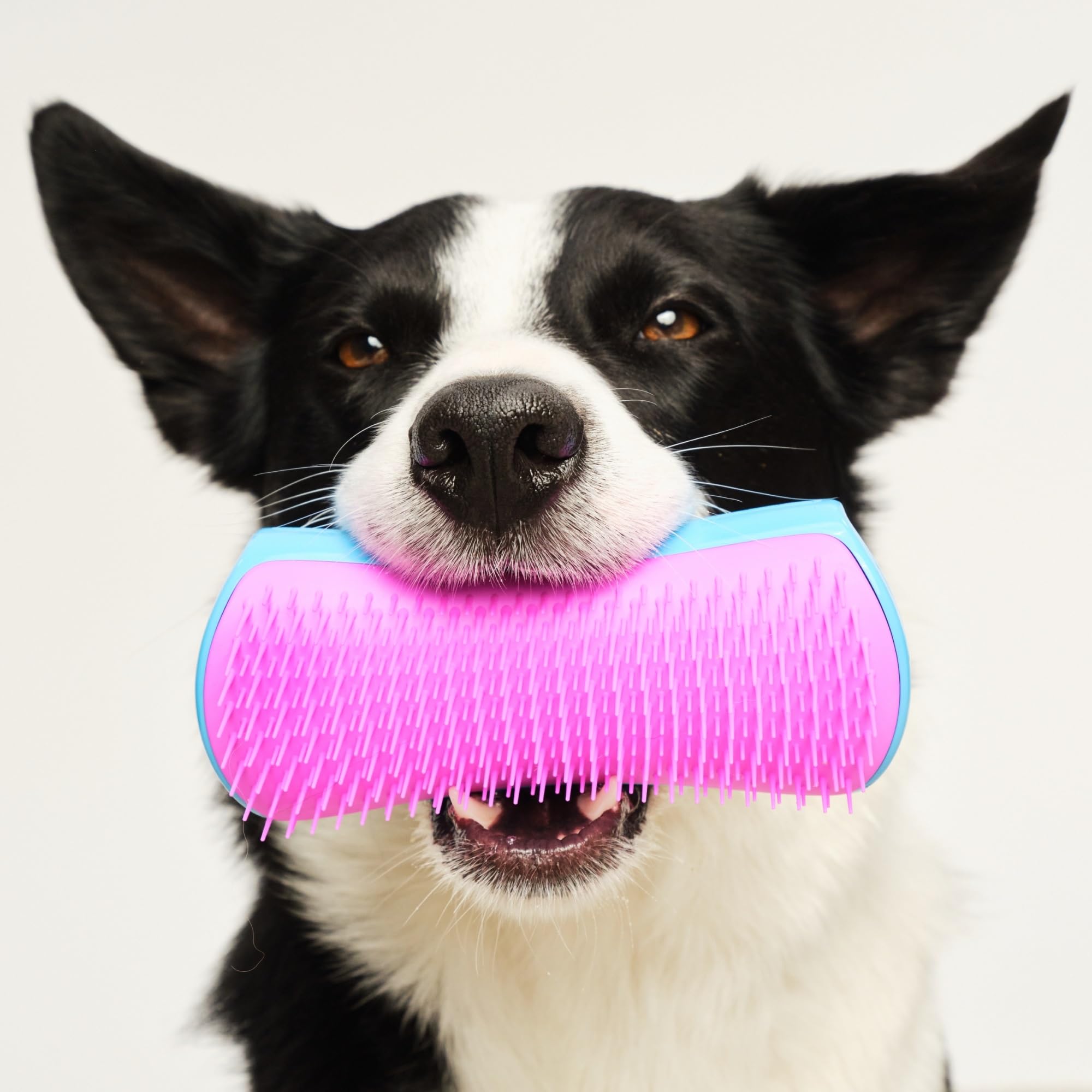 tangle-teezer-pet-teezer-grande-brosse-de-toilettage-pour-chien-picots-deux-nive image 7