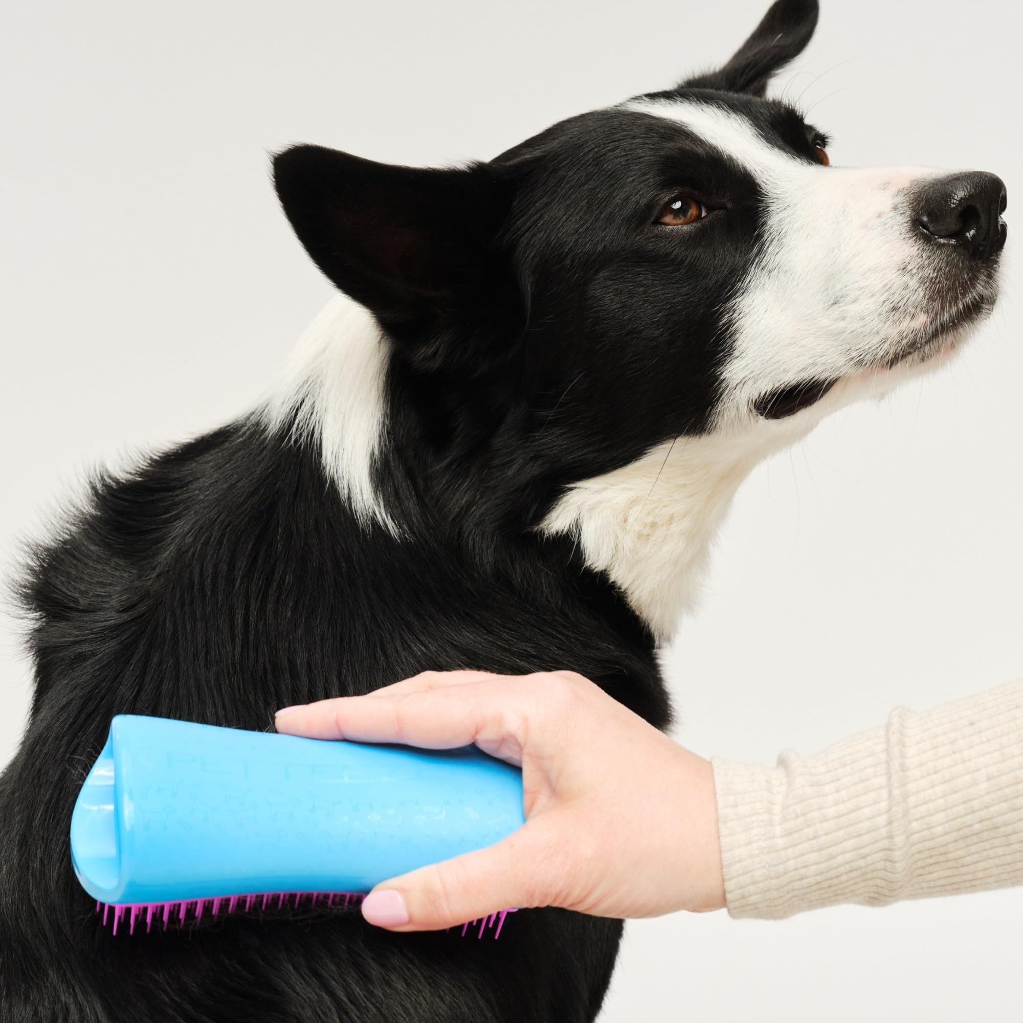 tangle-teezer-pet-teezer-grande-brosse-de-toilettage-pour-chien-picots-deux-nive image 3