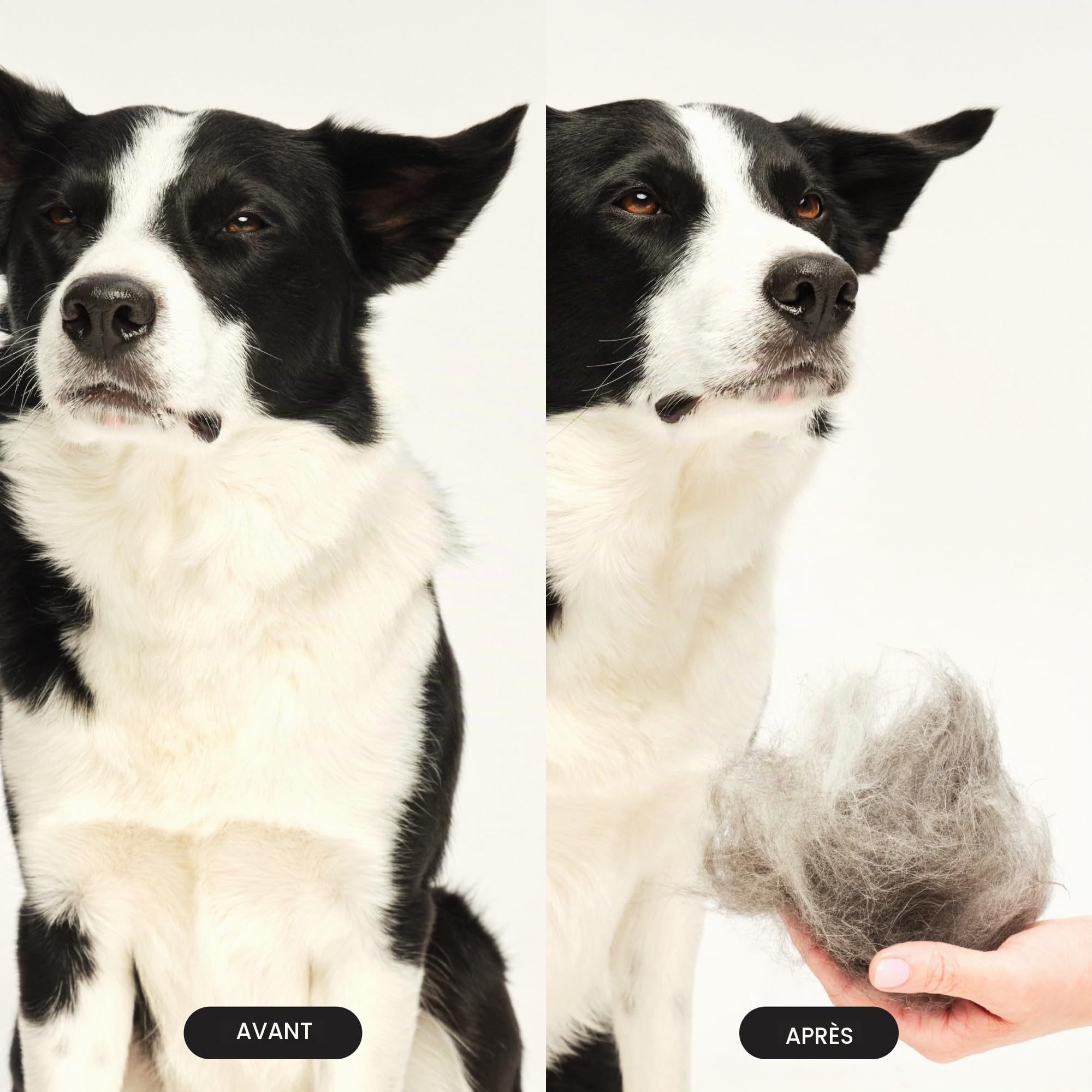 tangle-teezer-pet-teezer-grande-brosse-de-toilettage-pour-chien-picots-deux-nive image 5