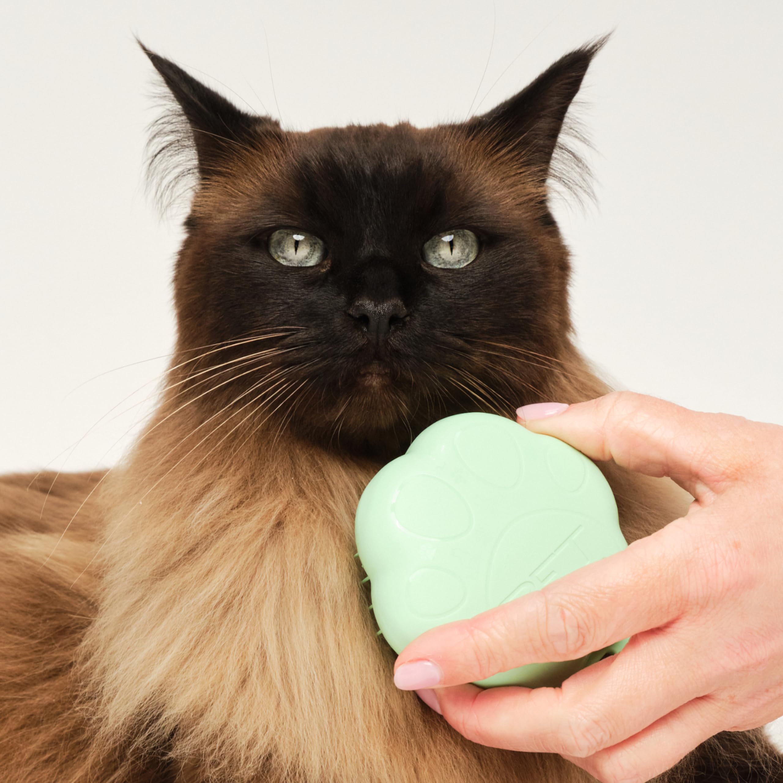 tangle-teezer-pet-teezer-cat-vert-brosse-de-toilettage-pour-chatons-et-chats-poi image 5