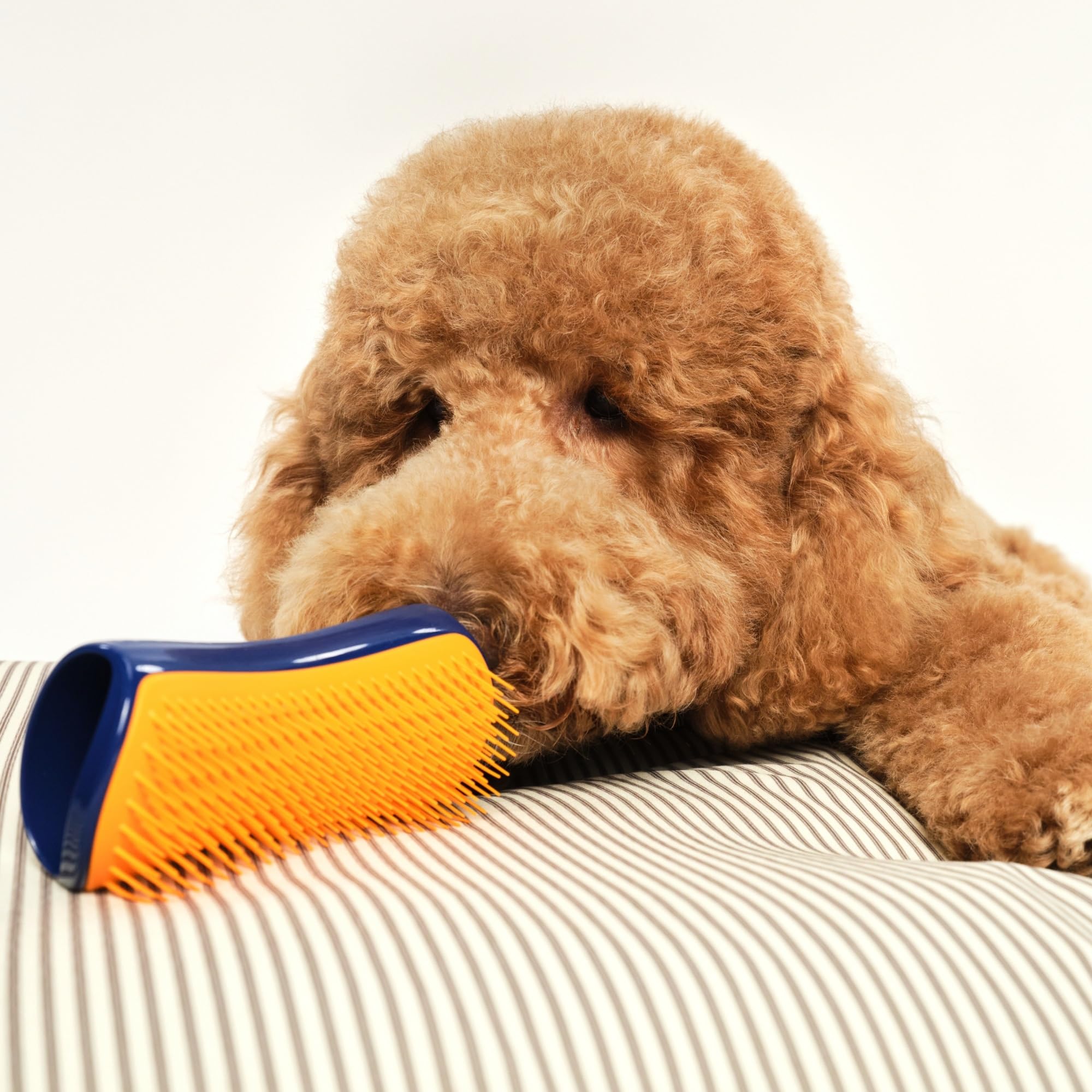 tangle-teezer-pet-teezer-grande-brosse-d-m-lante-de-toilettage-pour-chien-bain-o image 7