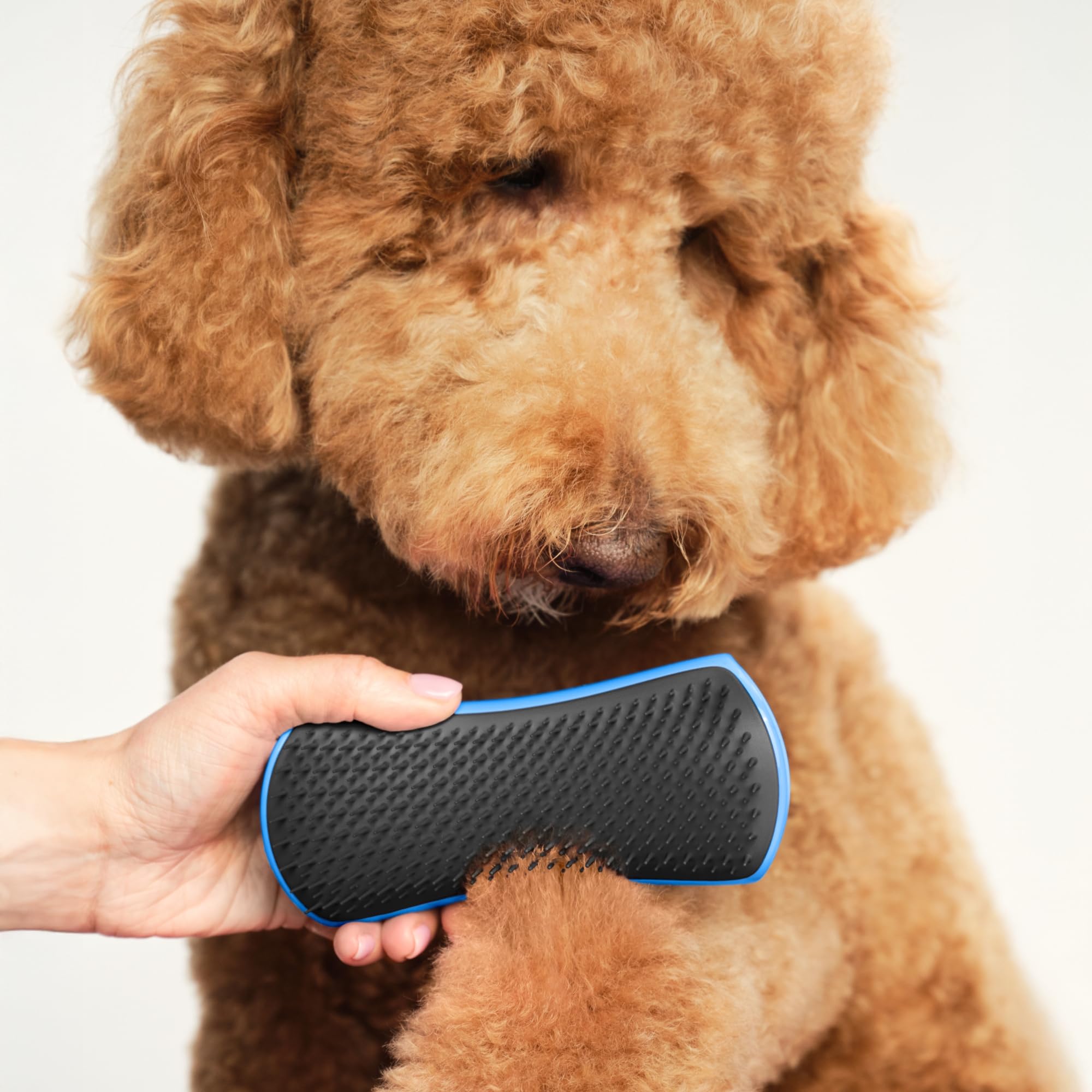 tangle-teezer-pet-teezer-brosse-d-m-lante-et-de-toilettage-pour-chien-usage-sec- image 3