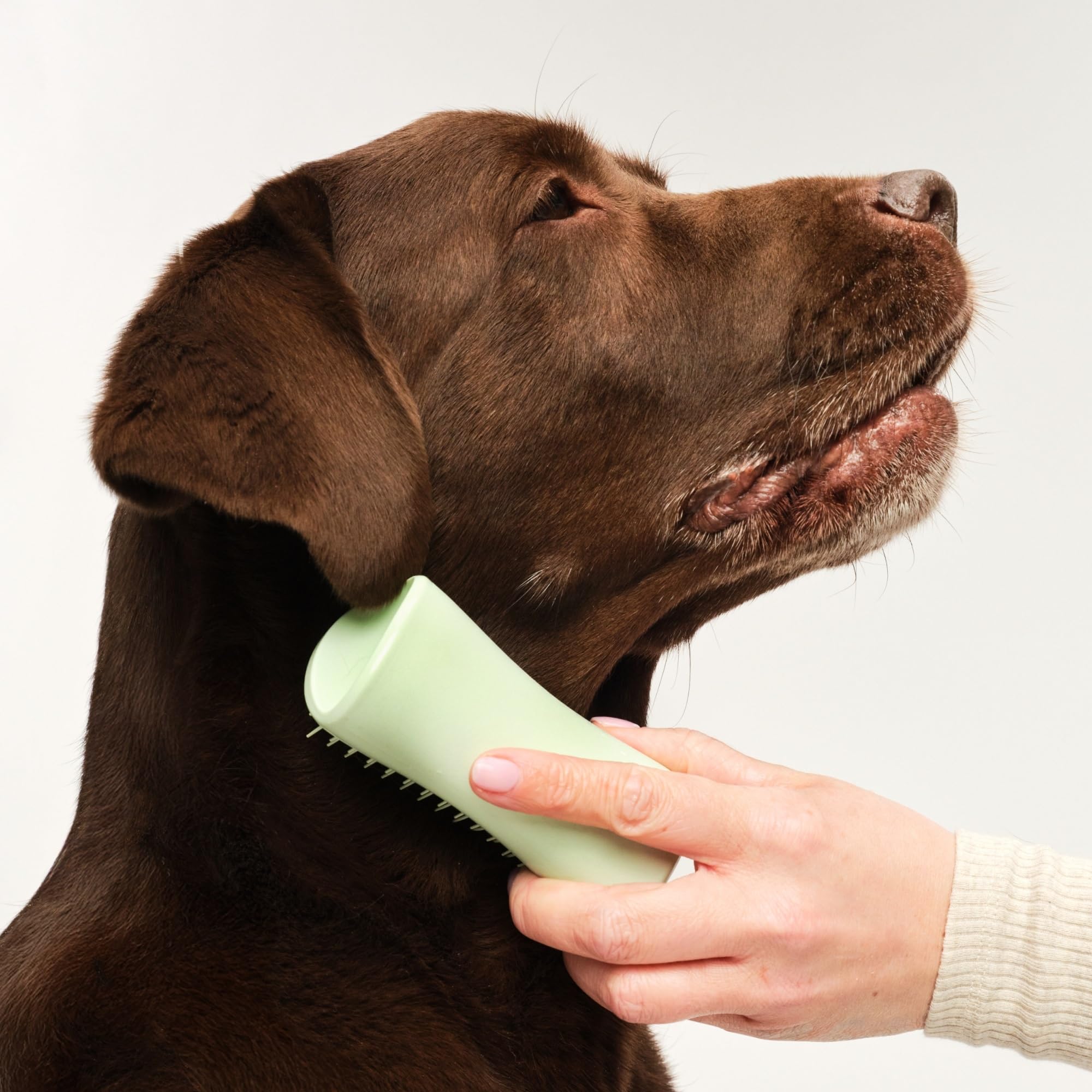 tangle-teezer-pet-teezer-puppy-brosse-de-toilettage-douce-pour-chiot-picots-deux image 3