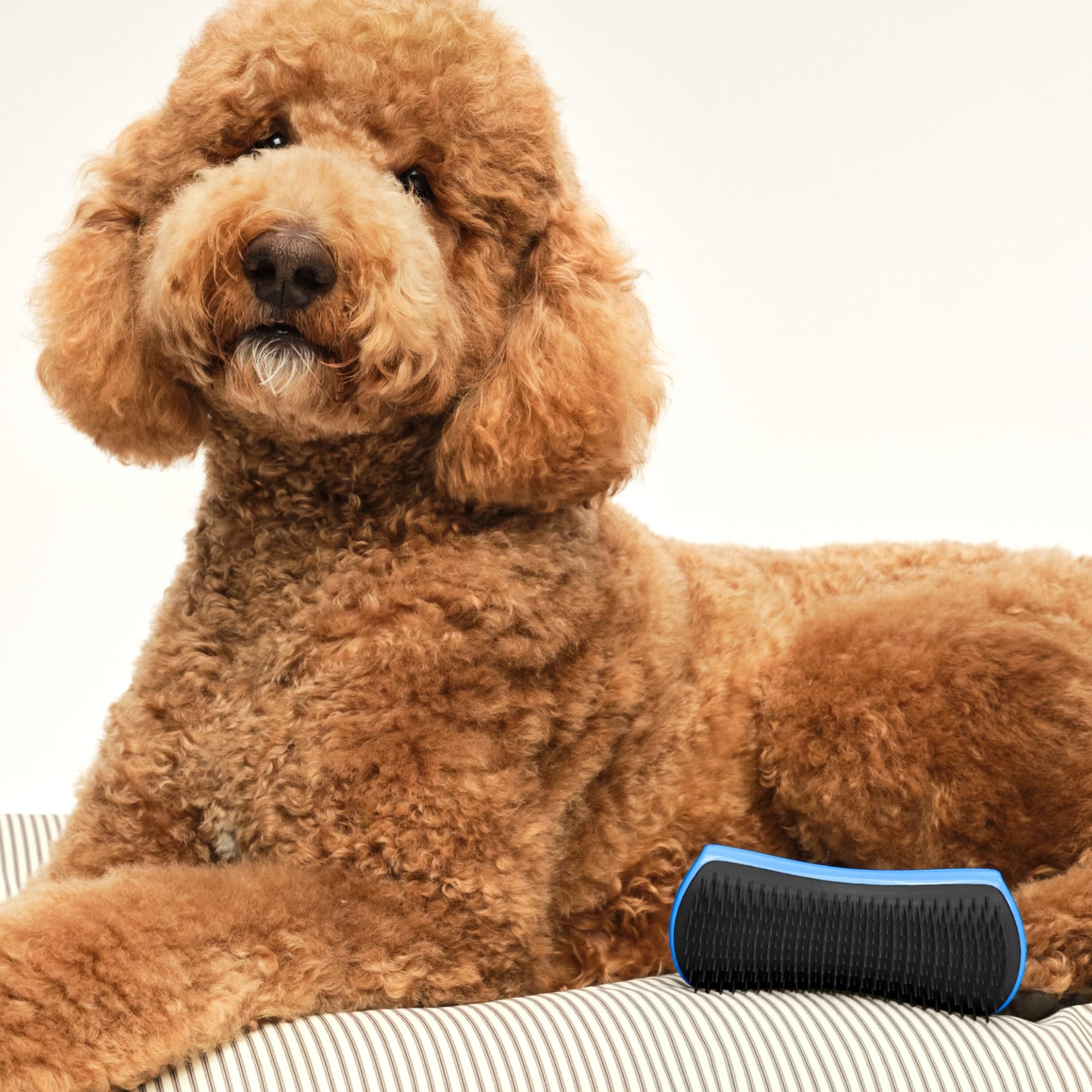 tangle-teezer-pet-teezer-brosse-d-m-lante-et-de-toilettage-pour-chien-usage-sec- image 6