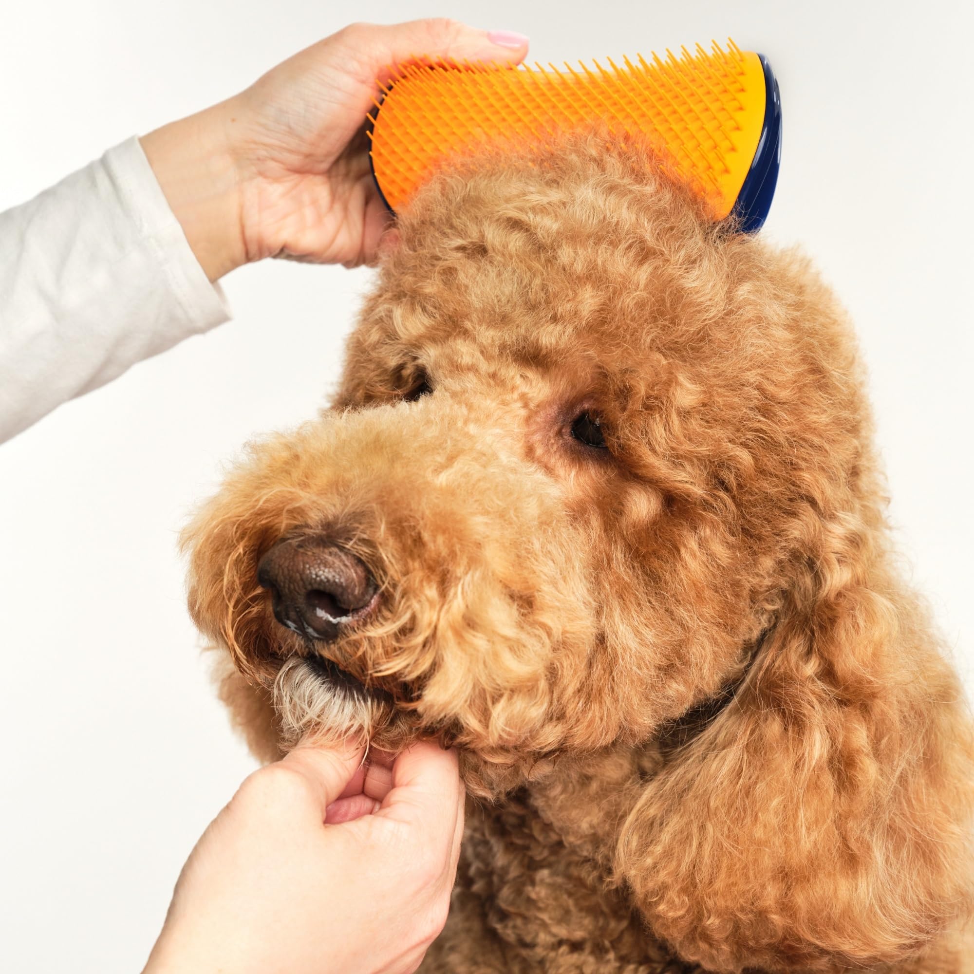 tangle-teezer-pet-teezer-grande-brosse-d-m-lante-de-toilettage-pour-chien-bain-o image 3