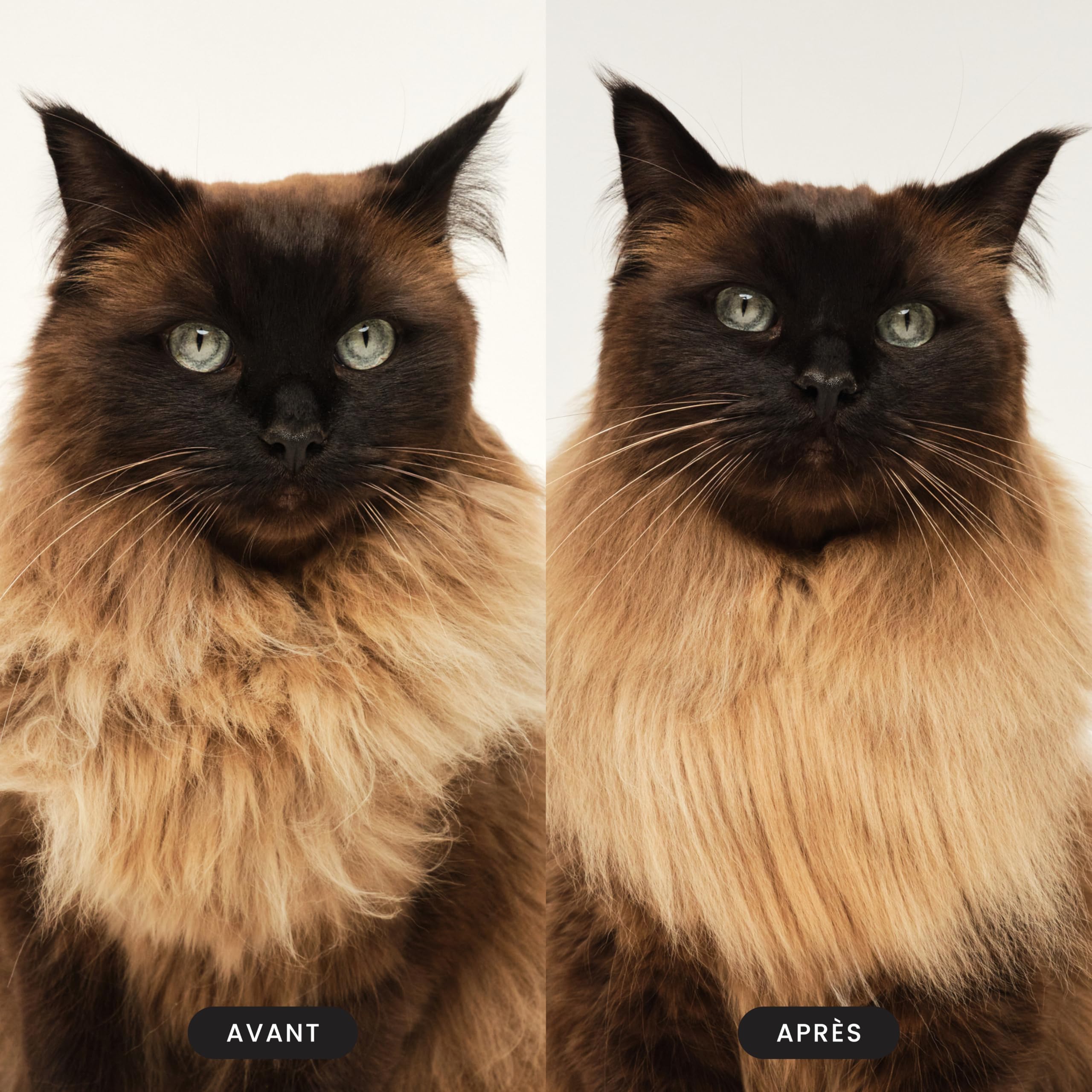 tangle-teezer-pet-teezer-cat-vert-brosse-de-toilettage-pour-chatons-et-chats-poi image 6