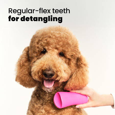 tangle-teezer-detangling-dog-grooming-brush-brosse-d-m-lante-pour-chien-dents-2- image 3